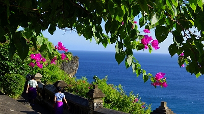 バリ海外ボランティア